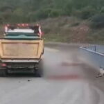 Arnavutköy’de Feci Kaza: Otomobilin Çarptığı At Telef Oldu, Üç Kişi Yaralandı