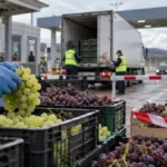 Üzüm Avrupa sınırında takıldı: 14,1 ton geri çevrildi! Sofralar için soru işareti
