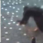 14 yaşındaki Mahmut’un ölümü… Otoparkın işletmecisi İsmailağa, belediyeyi işaret