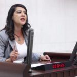 Sevda Karaca: Polîtîkayên şer yekîtiya gel û têkoşîna kedê asteng dike
