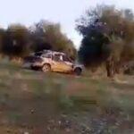 Li Efrînê dest danîn ser zeviyên zeytûnan ên gel