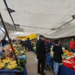 Dar gelirlinin bütçesi barınma ve gıdaya gidiyor: İki kalem, harcamaların yüzde