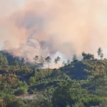 Antalya’da 2 orman yangınıyla ilgili 6 şüpheli gözaltına alındı