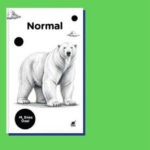 M. Enes Özel’in yeni kitabı “Normal” okurla buluştu: Normalimizi kim belirliyor?