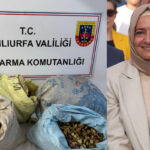 Adalet Terazisinde Çifte Standart Tartışması: Milyarlık Vurguna Yok, 75 Kilo Fıstığa