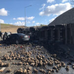 Ağrı’da Facia: Pancar Yüklü TIR ile Otomobil Çarpıştı, 4 Ölü, 1 Yaralı