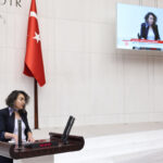 DEM Partili Otlu’dan İçişleri’ne: Kaçırma ve Ajanlık Baskısı Meclis’te