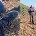 Gaziantep’te Zeytin Arazisi Kavgası: Amca Yeğenini Vurdu, Sağlık Ekiplerini Engelledi