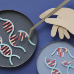 İnsan Vücudunda Doğrudan DNA Düzenleme Dönemi Başladı