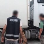 Otoyolda durdurulan TIR’da 95 bin paket elektronik sigara tütünü ele geçirildi