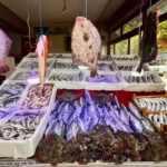 Sinop’ta Kalkan Bereketlendirdi: Fiyatı 1250 TL’yi Buluyor