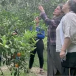Hatay’da toprakla birlikte umut da yeşeriyor