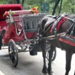 Meclîsa Şaredariya New Yorkê faytonan qedexekirin: 160 salî dîrok, 7 bûyer di 13 meh