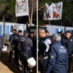 İzmir Ege Üniversitesi’ne gece yarısı baskını… Yaklaşık 200 köpek toplatıldı,