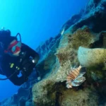 Antalya’dan yeni arkeolojik taraftımazi