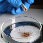 Türkiye listede 2. sırada: 1 gram sigara tütününden 19 mikroplastik çıktı