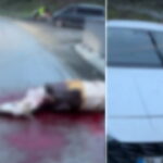 İstanbul Arnavutköy’de Korkunç Kaza: Atın Kopan Bacağı Otomobile Saplandı