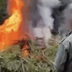 Diyarbakır’da Narkotik Operasyonu: 67 Tutuklama ve Tonlarca Zehir Tacirlerine Darbe