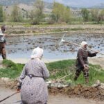 2026 Tarım Krizi: Çiftçi Borçla Üretime Zorlanıyor, Tarlalar Boş Kalıyor