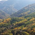 Dersim’de Yüksek Gerilim Hattı İsyanı: Pülümür Vadisi Talan Ediliyor!