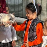 Adıyaman Belediyesi, 20’den fazla okulda çocuklara hayvan haklarını anlattı