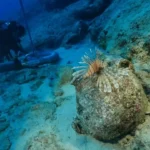 Dünyanın en eski batığı Kekova’da bulundu