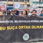 İzmir’de yaşam hakkı savunucularından Ege Üniversitesi kampüsündeki köpeklerin