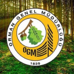 Orman Genel Müdürlüğü 12 Müfettiş Yardımcısı Alacak: Başvuru ve Sınav Şartları