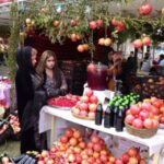 Festîvala Hinar û Payîzê didome, parastina jîngehê esas tê girtin
