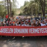Akdeniz Adalarında Çevreselere Eriblemeyen Şirketlerin “Klima Yardımcısı” Sınırına